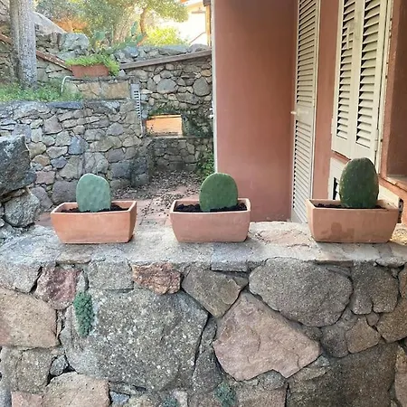 Elisa Apartment